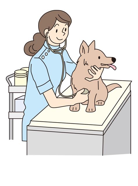 Vet - Flashcard Cute Veterinarian Drawings, Veterinary Drawing, Veterinarian Drawing, Vet Drawing, Vet Illustration, Vet Clipart, Vet Pictures, Vet Doctor, Doctor Drawing