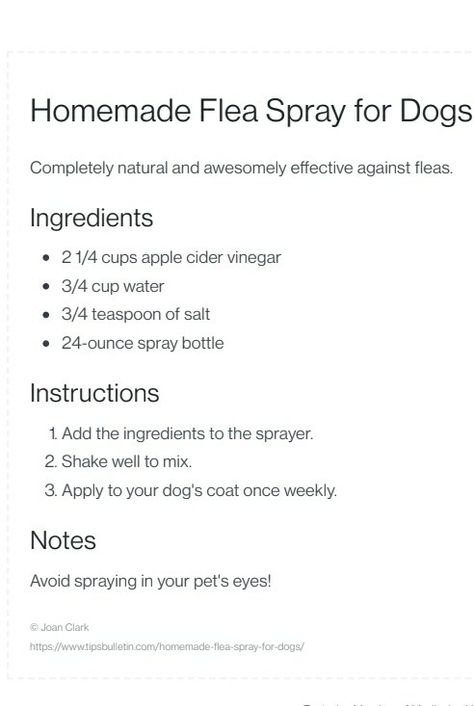 Diy Fly Spray For Dogs, Diy Flea Spray, Homemade Rat Poison, Kill Fleas On Dogs, Homemade Flea Spray, Flea Spray For Dogs, Dog Flea Remedies, Cat Remedies, Homemade Dog Shampoo