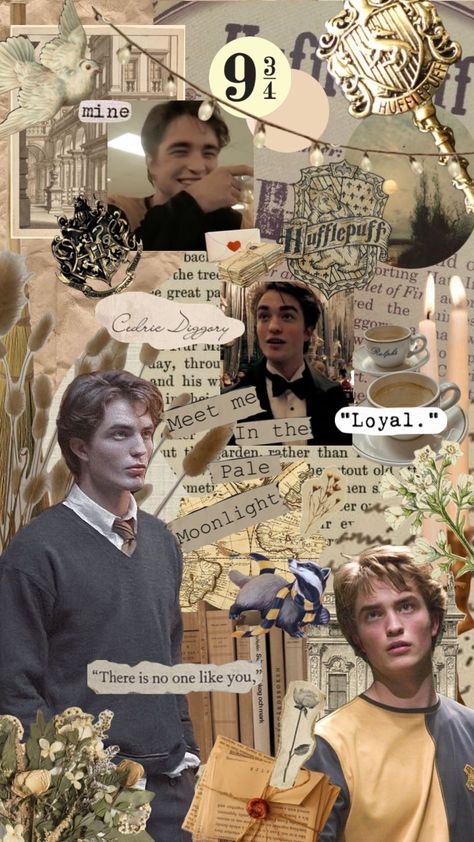 Cedric Diggory Aesthetic, Hufflepuff Wallpaper, Harry Potter Nursery, Aesthetic Shuffles, Hufflepuff Aesthetic, Robert Pattinson Twilight, Harry Potter Severus Snape, Twilight Edward, Hp Harry Potter