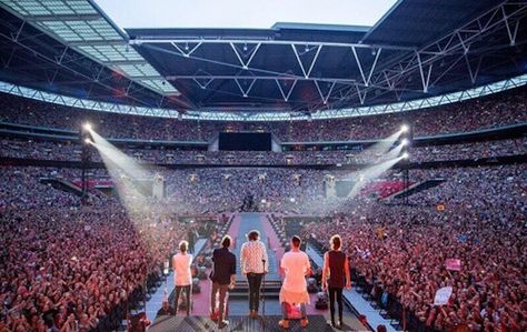 One Direction Tour, One Direction 2014, 1d Concert, Concert Crowd, Where We Are Tour, One Direction Wallpaper, Harry Styles Concert, One Direction Concert, One Direction Photos