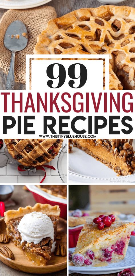 End your Thanksgiving feast on a sweet note with one of 99 best decadent Thanksgiving pie recipes that are a perfect addition to any Thanksgiving table. #ThanksgivingPieRecipes #ThanksgivingPieRecipesHolidays #ThanksgivingPieRecipesBest #HolidayPieRecipes Unique Pie Recipes, Fall Pies Recipes, Pumpkin Chiffon Pie, Pumpkin People, Thanksgiving Baking, Thanksgiving Pie Recipes, Pie Crust Designs, Unique Pies, Fall Pies