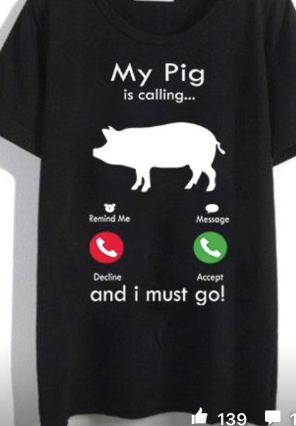 Pig Shirt Ideas, Show Pigs, Pigs Quote, Pig Showing, Pig Shirt, Pig Stuff, Pig Pen, Pot Belly Pigs, Pig Shirts