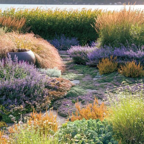 How a garden designer created a breezy, beachy oasis by letting nature do its thing Waterfront Garden, Artificial Plants Indoor, Coastal Gardens, Garden Designer, Garden Design Plans, Landscape Design Plans, Mediterranean Garden, Landscaping Tips, Garden Landscape Design