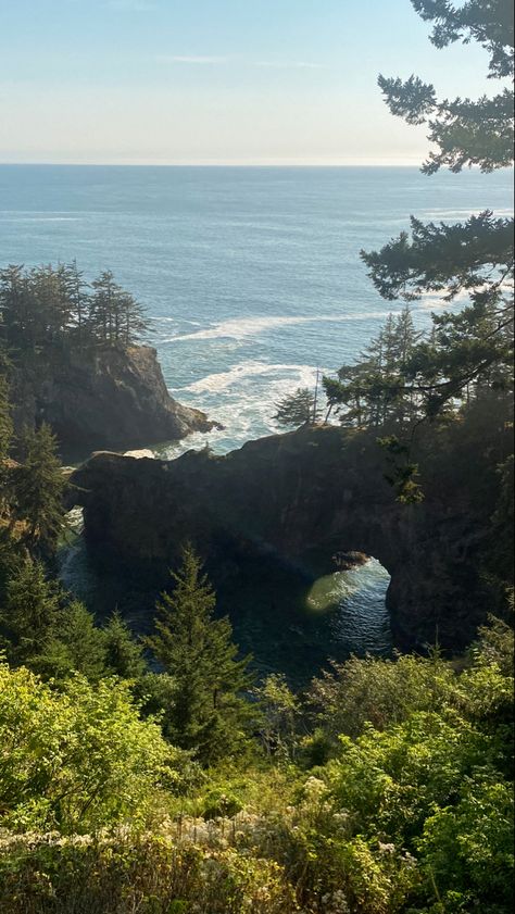 Oregon Coast Wallpaper, Natural Bridges Oregon, Samuel H Boardman State Park, Organ Coast, Oregon Coast Aesthetic, Nature Oregon, Oregon Coast Roadtrip, Oregon Aesthetic, Oregon Nature