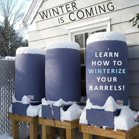 Rainwater Catchment System, Rain Barrel Watering System, Diy Rain Catchment, Rain Water Catchment Systems, Diy Water Catchment System, Hide Rain Barrel, Rain Catching System, Roof Rain Water Collection System, Diy Water Collection System