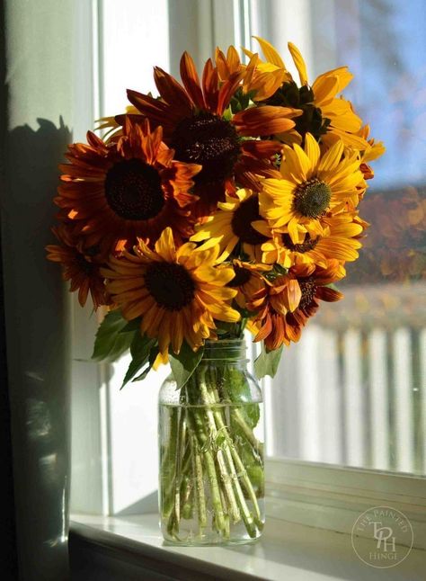 5 Tips On How To Keep Sunflowers Alive And Fresh Roses And Sunflowers, Lake Ideas, Sunflower Vase, Still Life Flowers, Flower Phone Wallpaper, Indoor Garden, Cut Flowers, Green Thumb, Beautiful Wallpapers