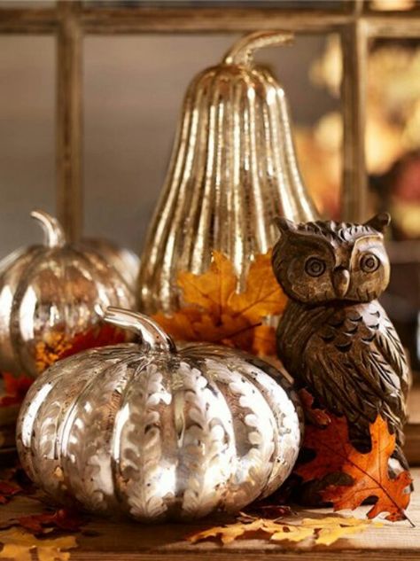 Looking for a cute owl? Hobby Lobby has cute owls around $6 like this one shown. I found a mercury glass one at 40% off ($7). No joke. Mercury Glass Pumpkins, Table Halloween, Fall Thanksgiving Decor, Autumn Decorating, Glass Pumpkins, Fabulous Fall, Fall Halloween Decor, Fall Table, Fall Holidays