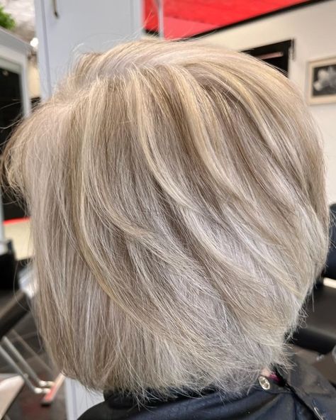 Gray Hair with Dimensional Lowlights White Hair With Blonde Highlights, Blonde To Gray Hair Transition, Haircuts For Gray Hair, Girl Braided Hairstyles, Transitioning To Gray Hair, White Hair Highlights, Natural White Hair, Gray Bob, Blue Grey Hair