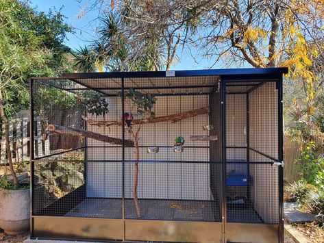 Birds Cage Ideas Outdoor, Bird Aviary Ideas, Bird Aviary Ideas Outdoor, Aviary Ideas Outdoor, Outdoor Bird Aviary, Outdoor Aviary, Aviary Ideas, Finch Cage, Diy Bird Cage