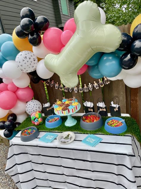 Fiesta Dog Party, Dog Welcome Home Party, Dogs Birthday Decorations, Dog Park Party, Puppy Pool Party, Dog Pool Party Ideas, Dog 21st Birthday Party, Dog Quinceanera Party, Birthday Party For Dog