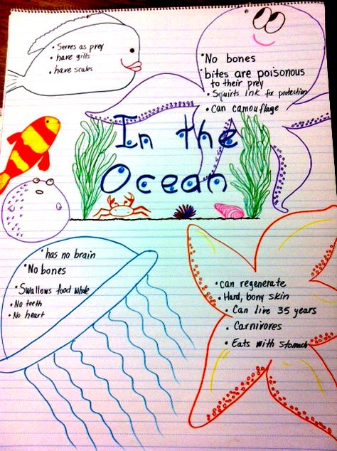 Ocean anchor chart Ocean Animals Anchor Chart, Ocean Anchor Chart Preschool, Ocean Anchor Chart, Ocean Habitat, Ocean Theme Preschool, Ocean Projects, Ocean Unit, Ocean Science, Ocean Activities