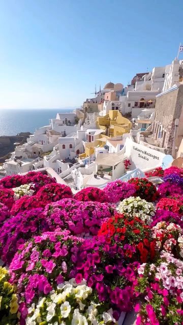 Kamari Beach, Santorini Oia, The Resurrection, Castle Ruins, Santorini Greece, Greece Travel, Summer Flowers, Beautiful Destinations, Santorini