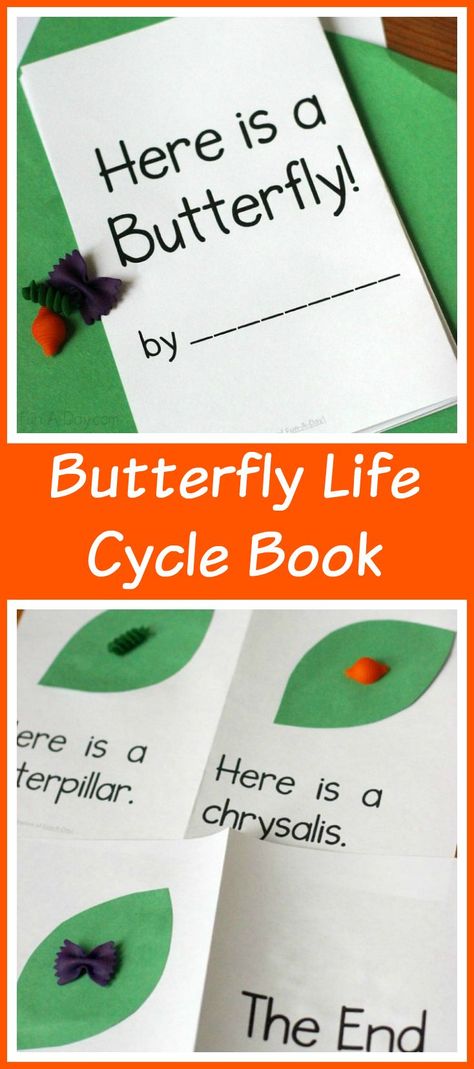 Butterfly Life Cycle Printable Book - an awesome way for pre- and emerging readers to create a book about butterflies. Science and a TON of early literacy skills wrapped up in one fun, simple book! Butterfly Life Cycle Printable, Butterfly Life Cycle Craft, Butterfly Lessons, April Preschool, About Butterflies, Spring Lessons, Insects Preschool, Printable Butterfly, Create A Book