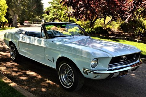 1967 Mustang Convertible, 1964 Corvette, Ford Mustang 1968, Elk Grove California, Blue Mustang, 1968 Ford Mustang, 1968 Mustang, Vintage Mustang, 1967 Mustang