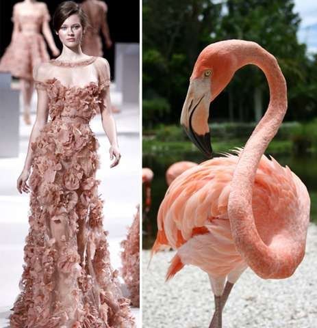 Elie Saab Haute Couture 2011     Avian, aquatic, reptilian and wild animal inspired design  gave a glimpse of “spring fever,” with some o... Animal Inspired Fashion, Capitol Couture, Flamingo Fashion, Fashion Collection Inspiration, Bird Fashion, Nature Inspired Fashion, 20th Century Fashion, Illustration Fashion Design, Fashion Inspiration Design