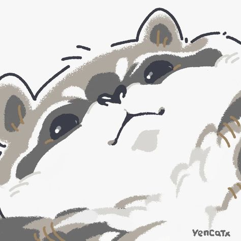 Toast The Racoon, Toast The Raccoon, Raccoon Drawing, Trash Pandas, Raccoon Art, 강아지 그림, Cute Raccoon, Cute Animal Drawings Kawaii, Trash Panda