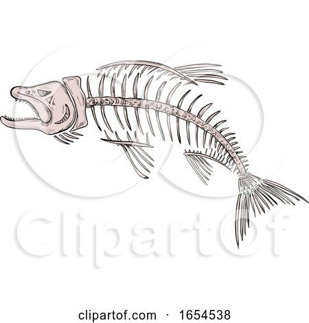 King Salmon Drawing, Salmon Skeleton, Salmon Drawing, Salmon Tattoo, Black And White Fish, Bone Drawing, Skeleton Drawing, Creature Inspiration, Whale Drawing