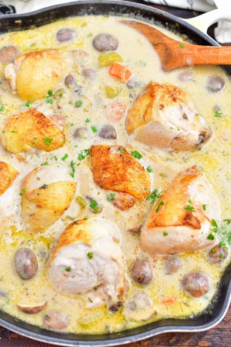 Chicken fricassee is a classic dish that combines the best that French cuisine has to offer. There are notes of butter, cream, and white wine, which are some of the most classic flavors in French cooking. This is a braised chicken recipe but stewed in a rich cream sauce along with vegetables. #chicken #dinner #creamy #sauce #French #stew #wine French Chicken Rissoles, Bill Knapps Chicken Fricassee, Crème Fraiche Recipes, 1pan Meals, Chicken Fricasse Recipe, French Chicken Stew, French Stew, School Dinner Recipes, French Chicken Recipes