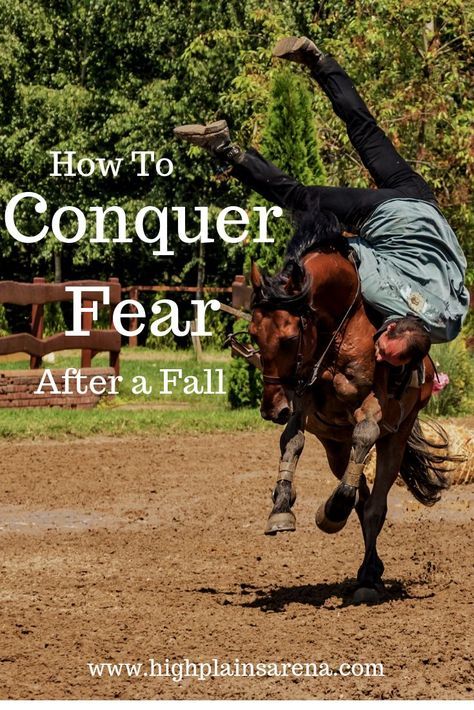 Horse Training Quotes, Conquer Fear, Training Quotes, Equestrian Helmets, Equestrian Helmet, Types Of Horses, Riding Lessons, My Horse, English Riding