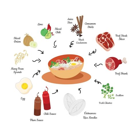 Pho Ingredients, Ingredients Illustration, Vietnamese Pho, Beef Shank, Plum Sauce, Beef Chili, Mung Bean, Bean Sprouts, Beef Steak