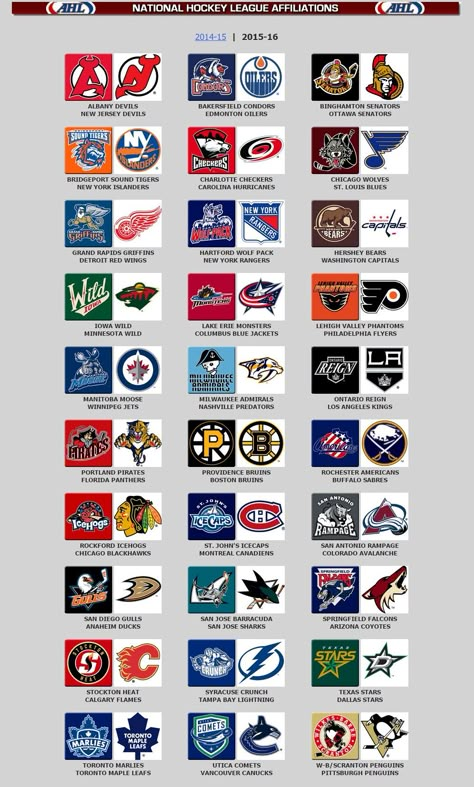 Nhl Teams Logo, Ahl Hockey, Nhl Hockey Players, Nhl Hockey Teams, Wild Hockey, Nhl Teams, Team Logo Design, Hockey Logos, Nhl Logos