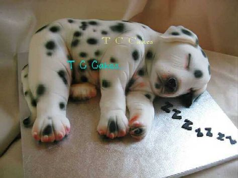 sleeping-puppy-t-c-cakes-goodie-box Puppy Dog Cakes, 3d Dort, 101 Kiskutya, Birthday Cake Cookies, Realistic Cakes, Puppy Cake, Cupcakes Decorados, Sculpted Cakes, Animal Cakes