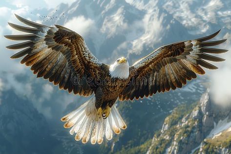 Majestic Bald Eagle Soaring Over Mountainous Landscape. Illustration about summit, feathers, mountains, predators, wings, wild, wildlife, rock, range, flying, freedom - 328579740 Eagle Soaring, Mountainous Landscape, Side Portrait, Landscape Illustration, Artist Paint, Portrait Artist, Editorial Illustration, Mountain Landscape, Blog Photo