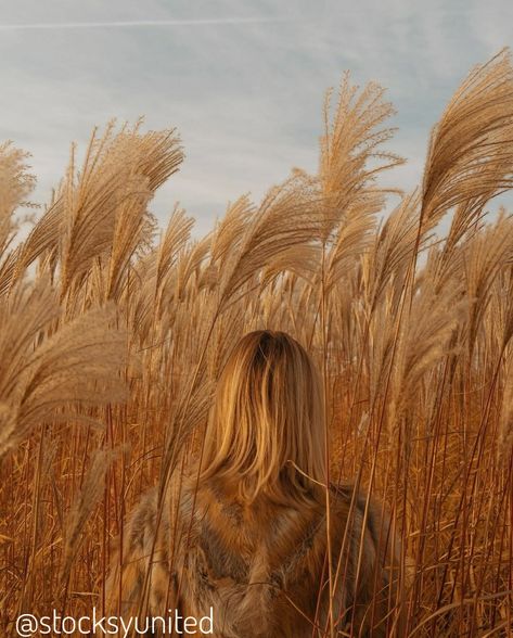 Pampas Grass Field, Tall Grass Aesthetic, Tall Grass Photoshoot, Tall Grass Field, Girl In Field, Nature Shoot, Grass Photography, Vintage Editorials, Outdoor Portrait