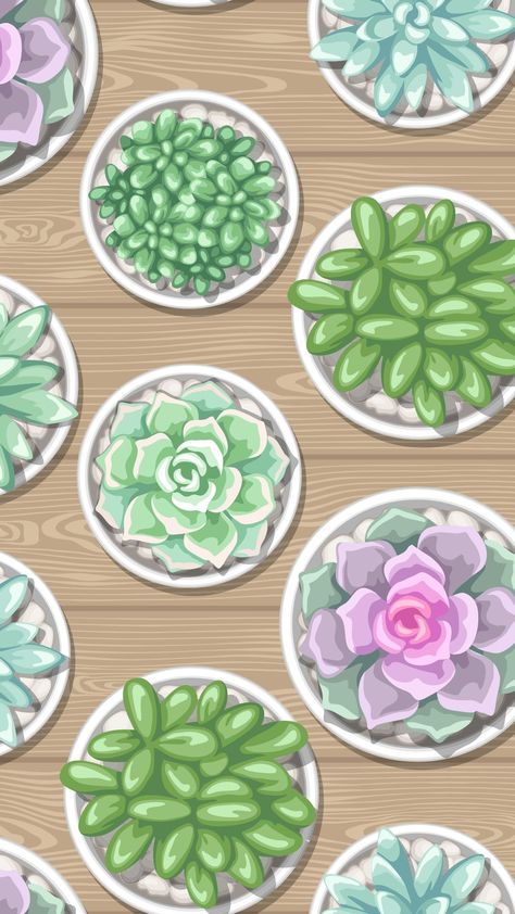 March Wallpaper Iphone, Chic Iphone Wallpaper, Namaste Wallpaper, Succulent Wallpaper, Wallpaper Cactus, March Wallpaper, Succulents Wallpaper, Wallpaper Notebook, Succulent Bonsai