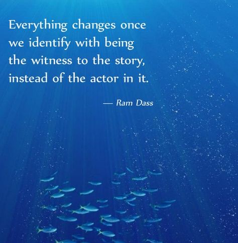 Everything changes once we identify with being the witness to the story, instead... | Ram Dass Picture Quotes | Quoteswave Ram Dass Quotes, Radical Acceptance, Ram Dass, Be Here Now, A Course In Miracles, Everything Changes, Yoga Quotes, Simple Living, Spiritual Awakening