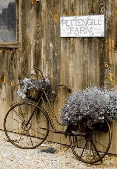 Bike With Flowers, Pretty Bicycle, Bicycle With Flowers, Bike Planter, Bronze Paint, Landscaping Layout, Landscaping Diy, Bicycle Decor, Old Bicycle