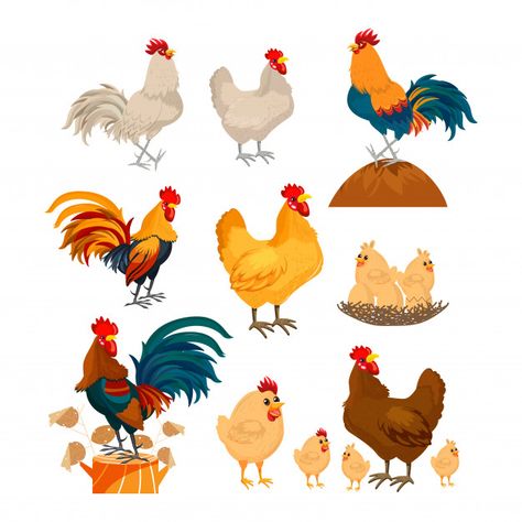 Chicken icons collection colorful templa... | Premium Vector #Freepik #vector #background #design #icon #template Chicken Icon, Colorful Template, Cartoon Rooster, Geometric Shapes Wallpaper, Chicken Coloring, Chicken Illustration, Montessori Art, Cartoon Chicken, Grandma Quotes