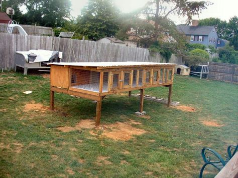 Beagles Pen Design Ideas, Rabbit Cages Outdoor, Rabbit Breeding, Giant Rabbits, Quail House, Rabbit Hutch Plans, Kennel Ideas Outdoor, Raising Rabbits For Meat, Diy Rabbit Hutch