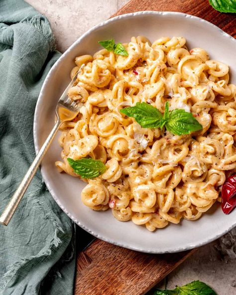 Spicy Calabrian Chili Alfredo Sauce with Trottole Pasta - Cooking With Wine Blog Spicy Cream Sauce Pasta, Chili Crisp Alfredo Pasta, Trottole Pasta Recipes, Creamy Chili Crisp Pasta, Spicy Lasagna Recipe, White Sauce Pasta Recipes, Calabrian Chili Recipes, Trottole Pasta, Spicy Alfredo Sauce