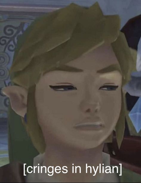 Link Memes Hilarious, Link Being Silly, Cursed Zelda Images, Funny Link Pfp, Link Reaction Pic, Link Smiling, Legend Of Zelda Reaction Pic, Link Funny, Link Wallpapers