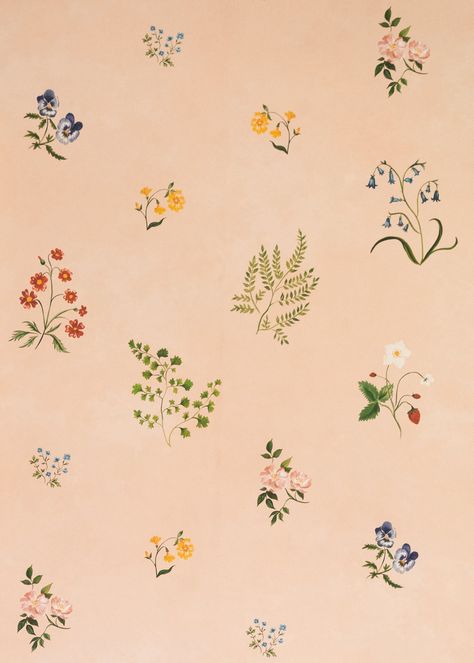 Tess Newall, Plant Study, Hand Painted Wallpaper, Plant Painting, Indian Rugs, Painting Wallpaper, Home Outfit, Wild Roses, Flower Wallpaper