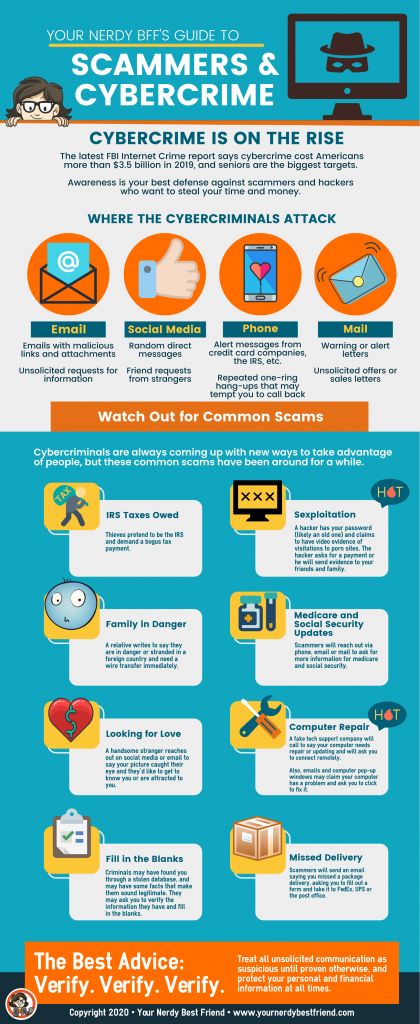 Cybercrime and Scammers Infographic 2020 | Your Nerdy Best Friend Cybersecurity Infographic, Cheerleading Photos, Safe Internet, Esl Lesson Plans, Knowledge Quiz, Sales Letter, Photo Pin, Information Graphics, Bff Pictures