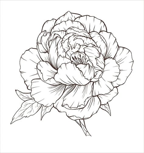 Peony outline line art peony hand drawn | Premium Vector #Freepik #vector #line-drawing #sketch #doodle-art #doodle-sketch Peonies Outline Drawing, Peonies Sketch, Line Art Peony, Peony Outline, Drawn Peonies, Printable Drawings, Peony Drawing, Tattoo Themes, Peonies Garden