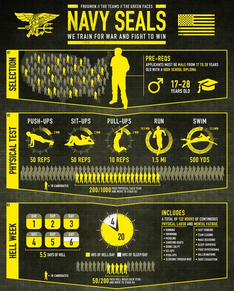 Navy Seal Workout, Navy Seal Training, Seal Training, Supraviețuire Camping, Trening Sztuk Walki, Lone Survivor, Us Navy Seals, Leadership Lessons, Military Officer