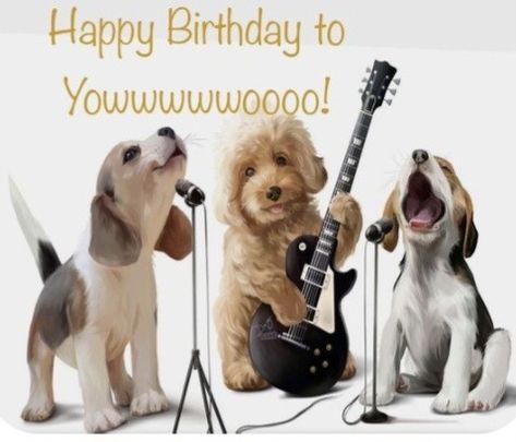 Dog Birthday Wishes, Birthday Dogs, Happy Birthday Joe, Happy Birthday Wishes Messages, Happy Birthday In Heaven, Happy Birthday Cat, Suzys Zoo, Funny Happy Birthday Wishes, Happy Birthday Dog