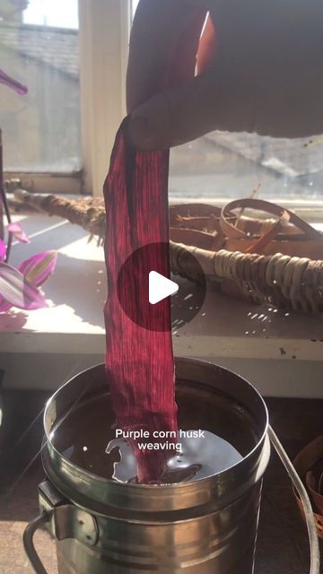 Suzie Grieve on Instagram: "Not that I will ever get bored with the endless varieties of browns and greens found in all the beautiful barks and leaves I use… but how lovely is this purple corn husk! These were kindly gifted to me but I really wanted to try growing some myself this year, unfortunately they had run out of this variety - double red, so shall try again next year. 
The texture makes it less easy to weave with than regular corn husk but it makes up for that with its amazing colour 🌽
What other varieties of corn have coloured husks I’m curious now 🧐☺️
.
.
.
#weaving #basketry #cornhusk #wildbasketry #naturalfibres #sustainablecraft #naturalfibres" Diy Corn Husk Bat, Corn Husk Bat, Corn Husk Weaving, Purple Corn, Corn Husk, Run Out, Try Again, The Endless, Basket Weaving