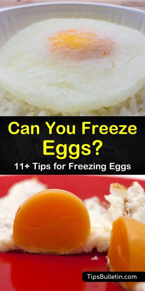 How To Freeze Eggs, Can You Freeze Eggs, Amish Cookies, Freeze Eggs, Mounds Cake, Breakfast Bundt Cake, Kitchen Knowledge, Pineapple Casserole, Storing Eggs