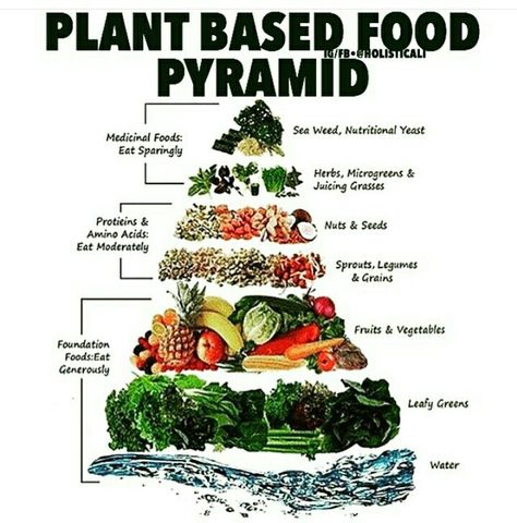 Plant Based Diet Meals, Plant Based Diet Meal Plan, Plant Based Food, Plant Based Diet Recipes, Food Medicine, Food Pyramid, Vegan Nutrition, Plant Based Nutrition, Deilig Mat