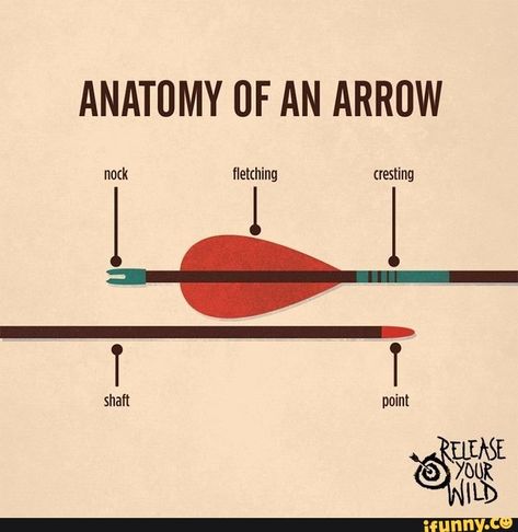 ANATOMY UF AN ARROW – popular memes on the site iFunny.co #arrow #tvshows #writers #writing #help #anatomy #uf #an #arrow #pic Archery Tips, Archery Bows, Traditional Archery, Archery Hunting, An Arrow, Bow Hunting, Book Writing Tips, Story Writing, Survival Tips