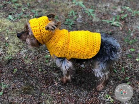 Dog Hoodie Pattern, Puppy Sweaters, Charity Crochet, Crochet Dog Sweater Free Pattern, Crochet Pets, Dog Sweater Crochet Pattern, Dog Patterns, Dogs Stuff, Dog Sweater Pattern