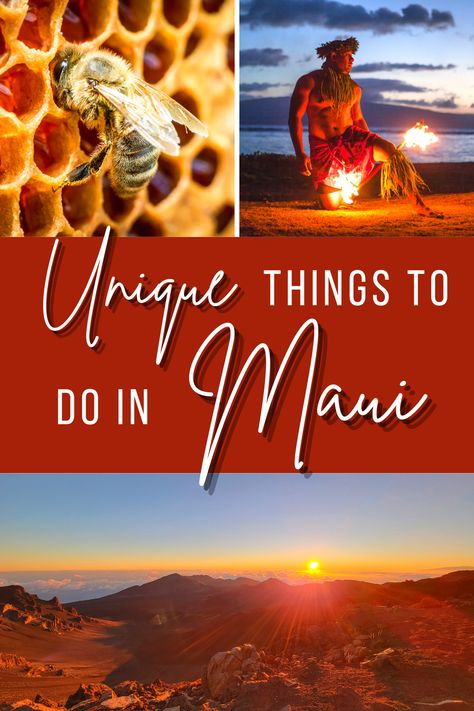 Planning a trip to Maui, Hawaii? Here are 21 of our favorite unique things to do in Maui that you don't want to miss! Whether you're looking for relaxation, adventure, or something in between, there's a fun and unusual thing to do that'll tick the box for you! Maui Things To Do, Free Things To Do In Maui, Maui Honeymoon Itinerary, Hawaii Trips, Hiking In Maui, Maui Must Do Activities, Hikes In Maui, Maui Activities, Things To Do In Maui