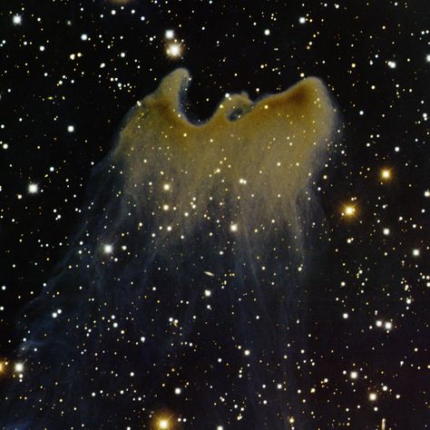 Ghost Nebula - a reflection nebula in the Cepheus constellation. It is located about 1500 light years away from Earth.  It looks like a giant bird, ready to take flight!  Photo credit: T.A. Rector/University of Alaska Anchorage, H. Schweiker/WIYN and NOAO/AURA/NSF Cepheus Constellation, Ghost Nebula, University Of Alaska Anchorage, Dragon Photo, Earth Photo, Space Dragon, Beautiful Universe, Hubble Telescope, Hubble Space