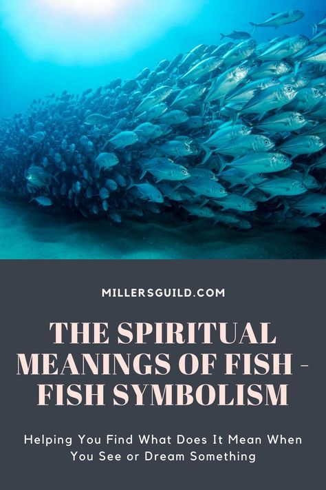 The Spiritual Meanings of Fish – Fish Symbolism Animals Symbolism, Fish Symbolism, Tarpon Fishing, Animal Meanings, Giant Fish, Fish Symbol, Creation Myth, Animal Symbolism, Fear Of The Unknown