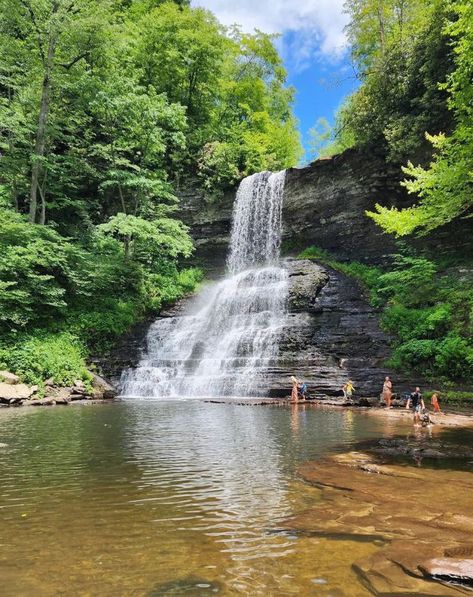 Cascades Falls is a breathtaking natural wonder in Jefferson National Forest. This 69-foot cascade is a must-visit destination for outdoor enthusiasts and nature lovers. Cascade Falls, The Fury, Adventure Quotes, National Forest, Nature Lovers, Natural Wonders, Solo Travel, Nature Lover, Kayaking