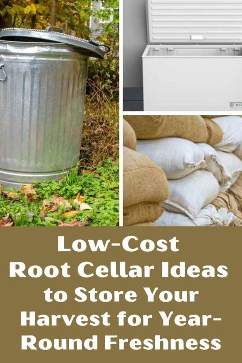 Low Cost Root Cellar Ideas to Store Your Harvest for Year-Round Freshness Diy Small Root Cellar, Mini Root Cellar, How To Build A Cellar, Trash Can Root Cellar, Small Root Cellar Ideas, Diy Root Cellar Cheap, Diy Root Cellar In Garage, Root Cellar In Garage, How To Make A Root Cellar